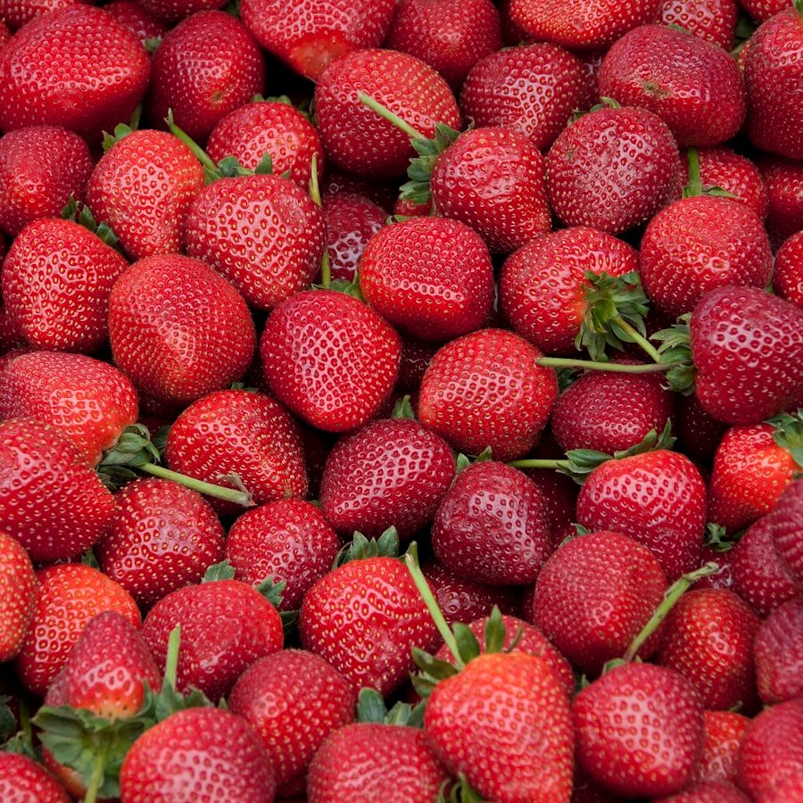 Fresh strawberries